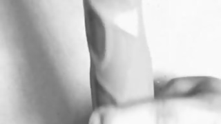 FOR SALE - Slapping Tit