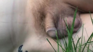 pee trans nature it is fall you all