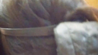 Animadora de fiestas no aguanta más y me mama la verga en privado después de su show