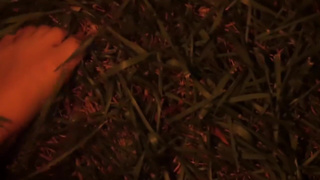 Barefoot in the grass