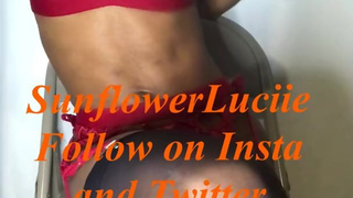 Welcome to SunflowerLuciie's Domain