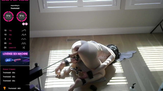 Can’t help moaning and talking dirty when I’m hogtied and tip-fucked by fans with my toys!