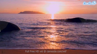 Mermaid masturbates till she gets even more wet