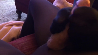 Nylon Foot Slut makes him Cum with her Pantyhose Feet