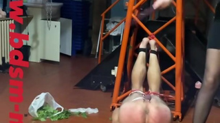 Sugar don't wait! the whip is the right tool for you with a little help...????????????