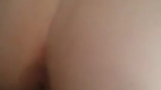 Thick young bull laying pipe from the back