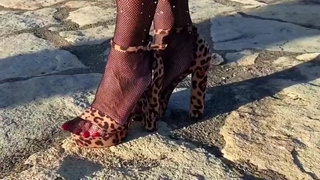 fishing cocks with my stockings