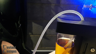 Project Apple Juice - A fun feeding toy