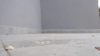 Lady Nymphelin breaks things all for you