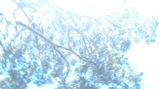 Mexican and Black Fucking Real Good