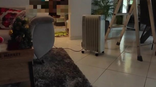 Miiana - challenge fuck HARD with electrician