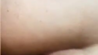 Hwit sahabt marti hta bdat katra3ad