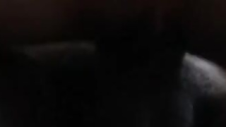 Skinny Wilson way hooker from Stockton