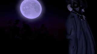 Princess venge 3D Uncen Sex