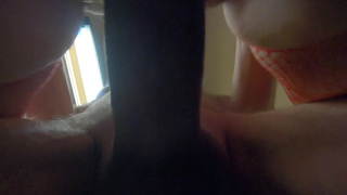 Ginger B's HallowDream - Cougar In Red Dream Scenes