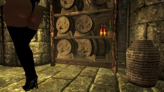 Andrea Becomes A Stripper At An Inn Skyrim