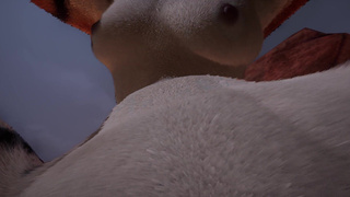 Moon for love Furry Wild life POV