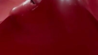 Red Vac Bed torture