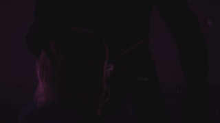 Wild Life - Spotlight