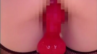 Dog dildo & corn dildo insertion Perverted masturbation Squirting makes the camera soaking wet! ♡