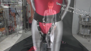イルカ着ぐるみ????Dolphin Kigurumi ????