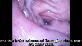 [Vaginal wall video] I took a picture of the vaginal wall with a small vibrator with a camera that w