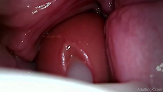 Camera in Vagina, Cervix POV, "Creampie"