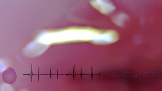 Cervix Pulse Heartbeat Orgasms EKG - Sophie Adulting