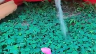 I hit a dinosaur with a strong, powerful pee on the lawn in the park