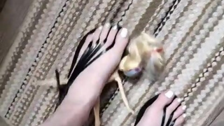 Stomping barbie well she is stuck between my barefoot and my sandals (multiple shoes)