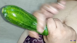 Porn with cucumber xxx Vegetarian Sex - Netu and Hubby