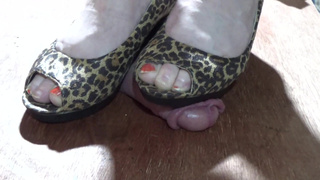 231lb BBW HARD WEDGE & VANS COCK & BALL CRUSH PT1