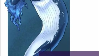 HBP-Deep Throating A Whale Girl F/A