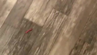 Let me stomp you Under my giant new heals