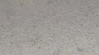 Smashing juicy grapes under my big toes close up under and side pov