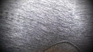 GIANTESS FLATTENS YOU AND FARTS ON YOU