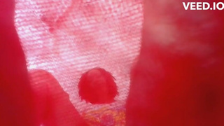 GIANTESS FEET WORSHIP