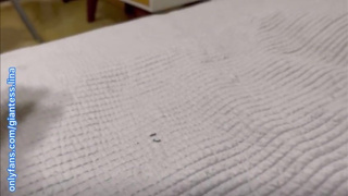 Giantess Lina: Vore, feet slave and ass slave (SFX EPIC)