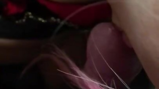 gal 濃厚に頬張る