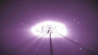 Missed Connection / TransAngels