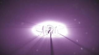 Girl's Gotta Have It / TransAngels