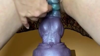 Bad dragon nova fills my pussy