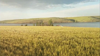 Sensual Blowjob in Public with double rainbow in background!