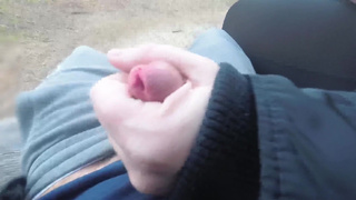 Risky Public Handjob with Cumshot at Lake