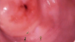 Giantess pussy endoscopy and micro man