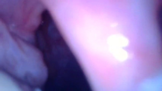 Have a Good Look at My Throat [Prey POV]