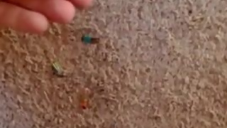 Giantess in slaves coworkers, family, and friends- hint at vore