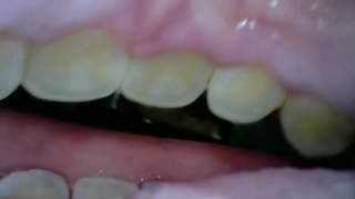 Just keeping you in my mouth [Prey POV]