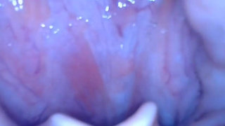 You're looking tasty [Prey POV]