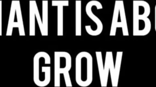 Giantess crushes grow feet